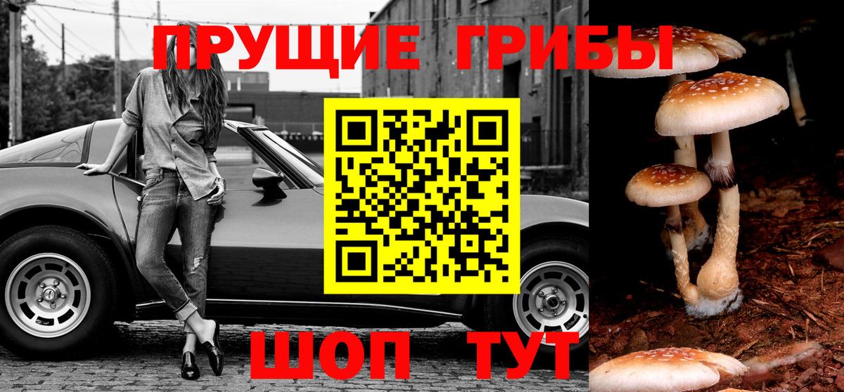 Кинель  Галлюциногенные грибы GOLDEN TEACHER  Вход с VPN 