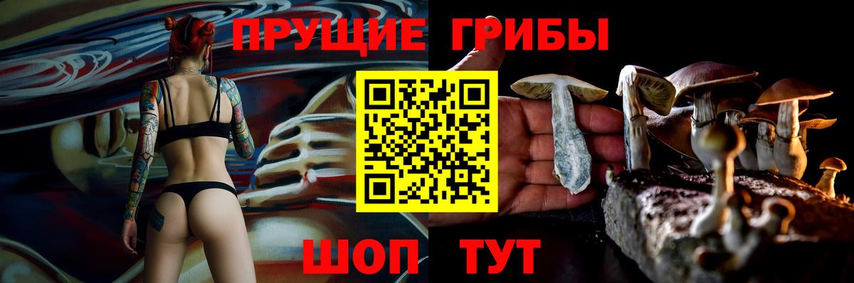 Псилоцибиновые грибы MAGIC MUSHROOMS Кинель